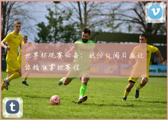 世界杯观赛必备：这份订阅日历让你精准掌控赛程