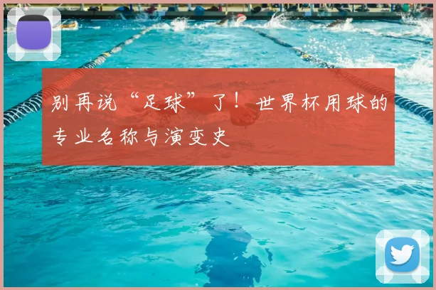 别再说“足球”了！世界杯用球的专业名称与演变史