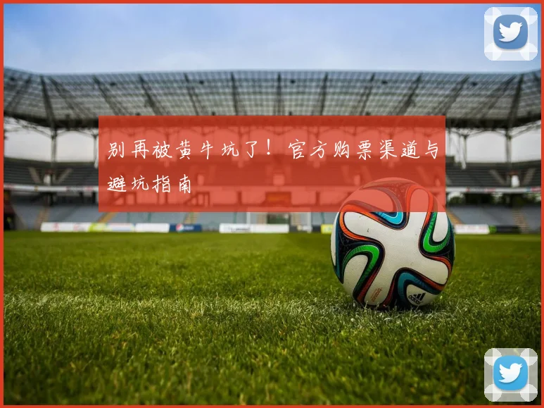 别再被黄牛坑了！官方购票渠道与避坑指南