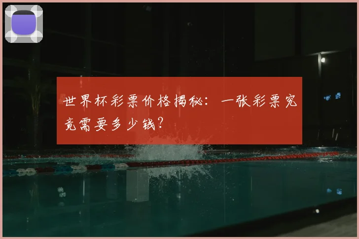 世界杯彩票价格揭秘：一张彩票究竟需要多少钱？