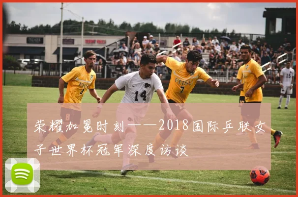 荣耀加冕时刻——2018国际乒联女子世界杯冠军深度访谈