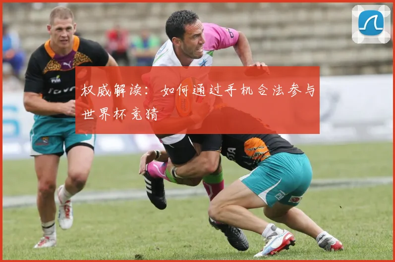 权威解读：如何通过手机合法参与世界杯竞猜