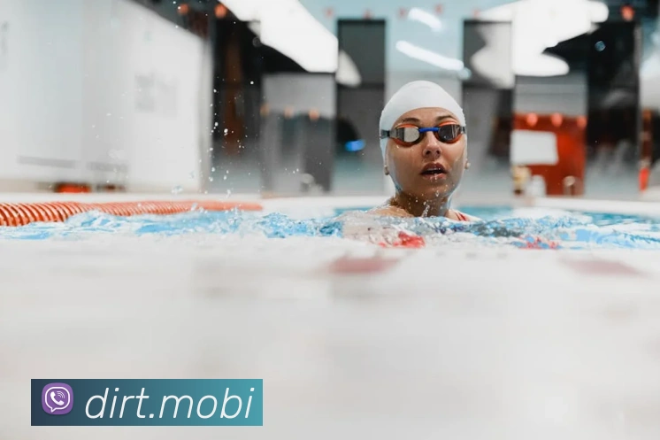 华体在线登录入口平台生态图